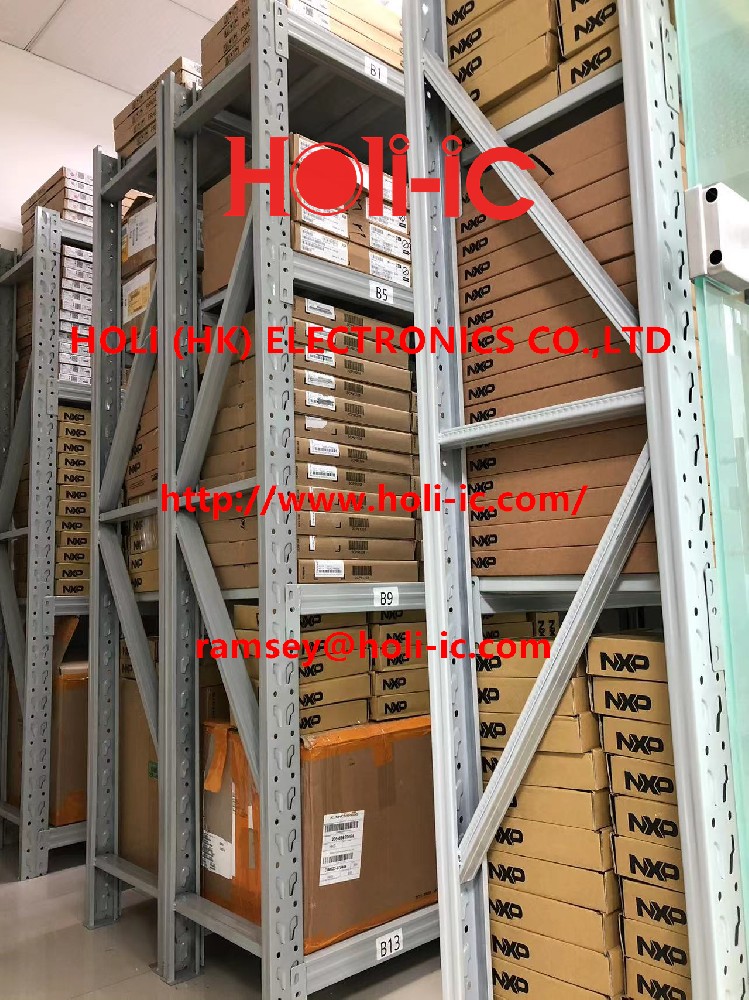 Holi-ic is a global chip distributor/distributor